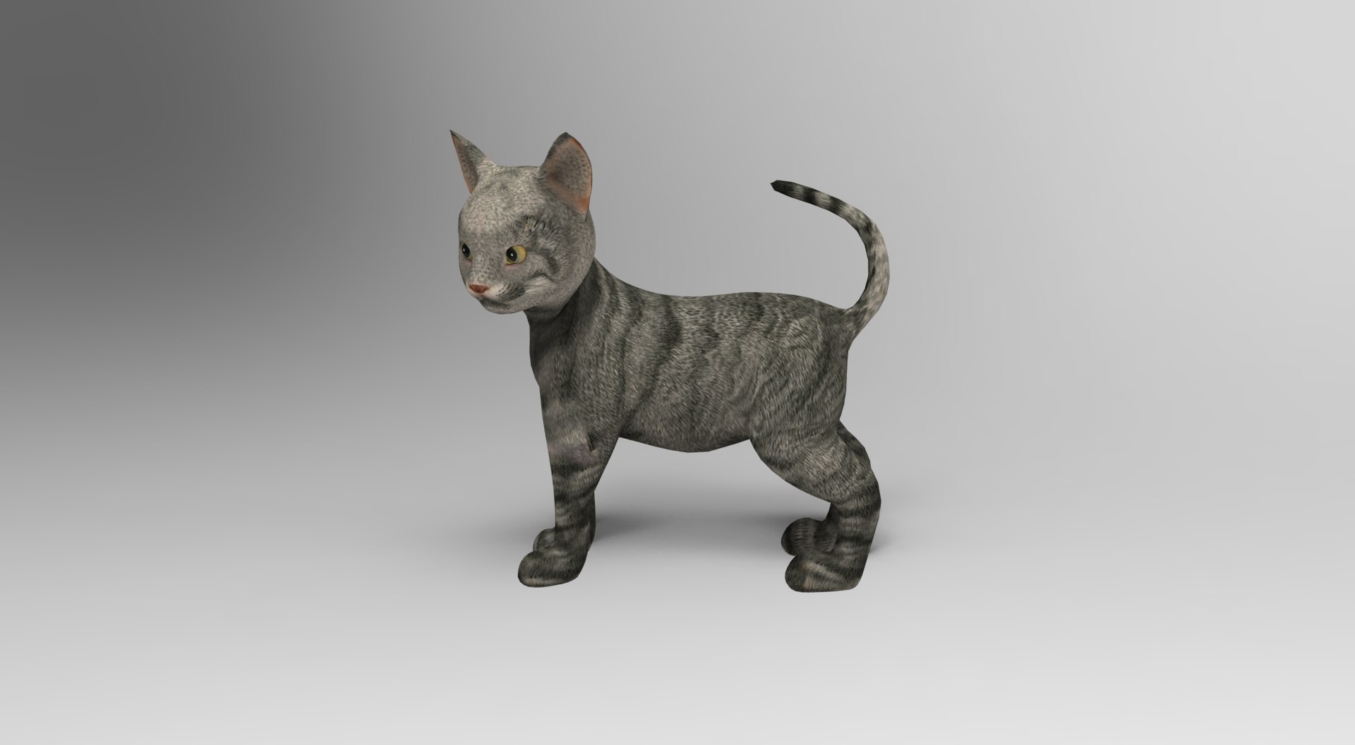 3D Model Cat Rigged Animation - TurboSquid 1204666