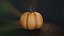 pumpkin modeled 3D model