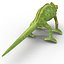 Chameleon