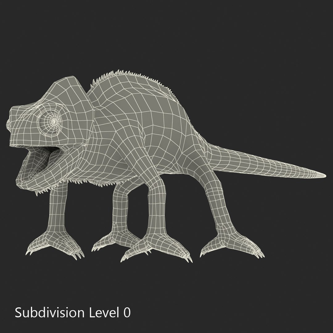 chameleon colors look 3d model https://p.turbosquid.com/ts-thumb/f6/n4qDe7/578jdGT3/chameleon3dmodel24/jpg/1458119683/1920x1080/fit_q87/37d82c0585966ea185c2ba731a77cec2a30d96de/chameleon3dmodel24.jpg