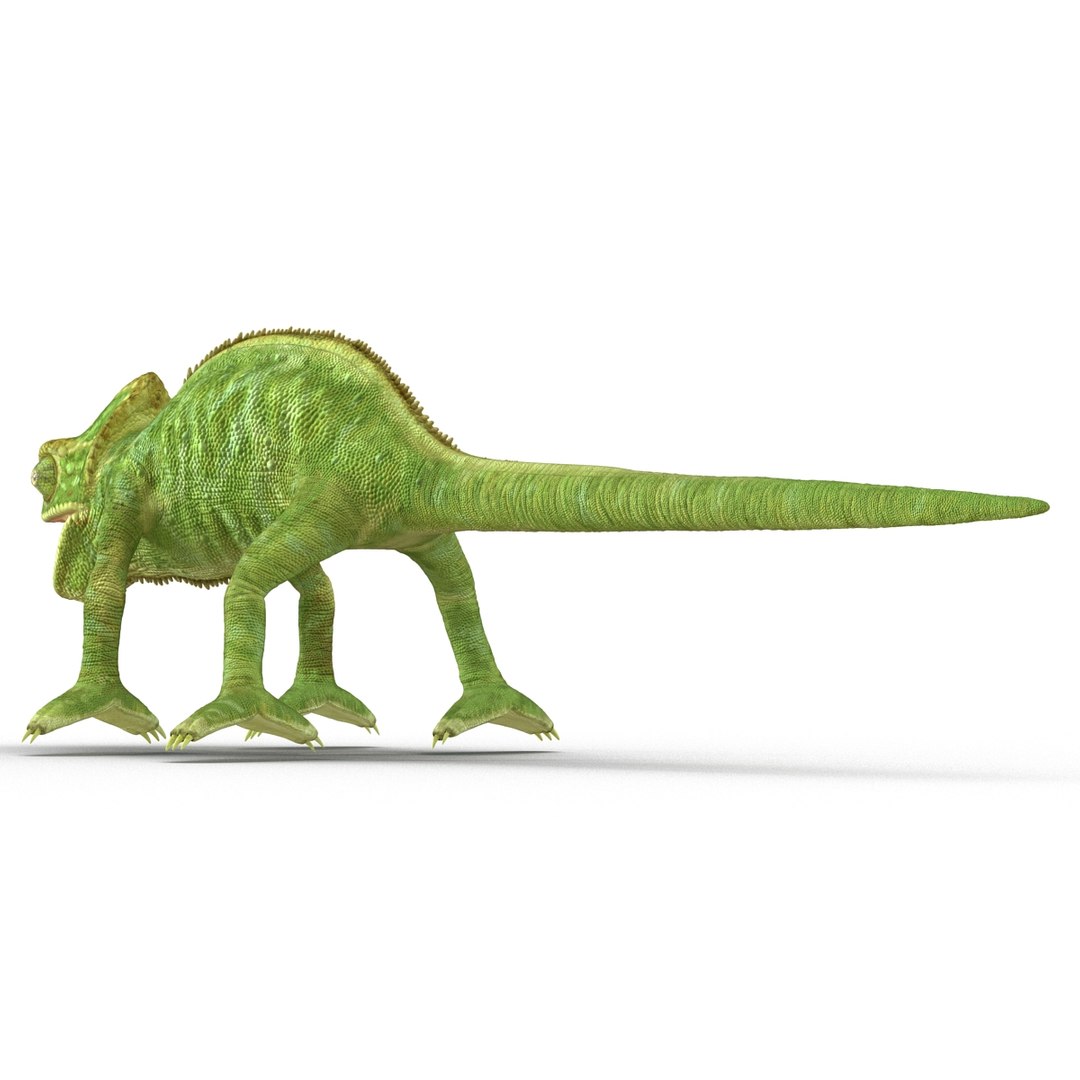 chameleon colors look 3d model https://p.turbosquid.com/ts-thumb/f6/n4qDe7/64jm3Iae/chameleon3dmodel12/jpg/1458119682/1920x1080/fit_q87/40d9afa329edf5d4b1a1aa12509cfc9b11fbf895/chameleon3dmodel12.jpg