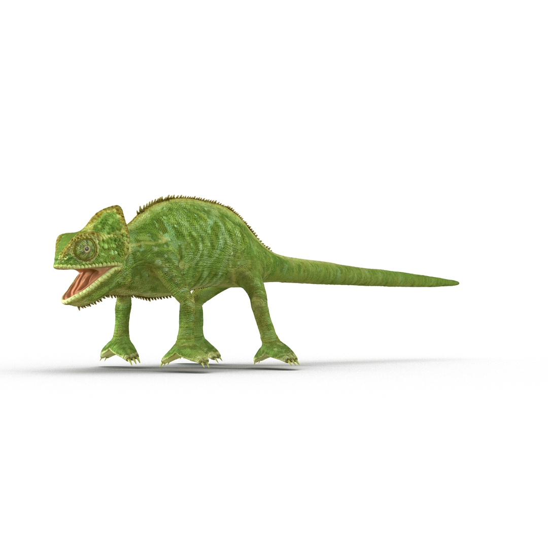 chameleon colors look 3d model https://p.turbosquid.com/ts-thumb/f6/n4qDe7/9mjn7xtF/chameleon_360/jpg/1458118202/1920x1080/turn_fit_q99/25ba1542ef1c3b00398ecb113c01f1a887316ad3/chameleon_360-1.jpg