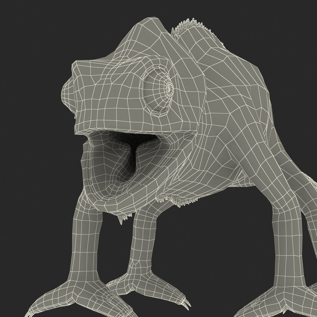 chameleon colors look 3d model https://p.turbosquid.com/ts-thumb/f6/n4qDe7/BzHSlfvL/chameleon3dmodel35/jpg/1458119684/1920x1080/fit_q87/3b43e159fba3db45fb9f6dedeb49847d60461d22/chameleon3dmodel35.jpg