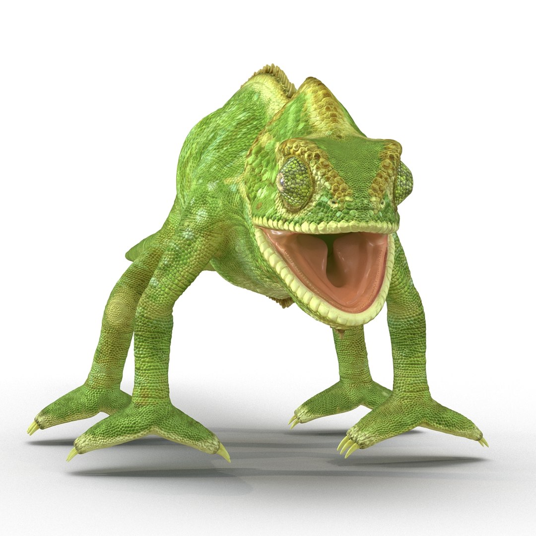 chameleon colors look 3d model https://p.turbosquid.com/ts-thumb/f6/n4qDe7/CIazdKJG/chameleon3dmodel04/jpg/1458119681/1920x1080/fit_q87/803d416e65def7a255578b9ec8a14f049addf3da/chameleon3dmodel04.jpg