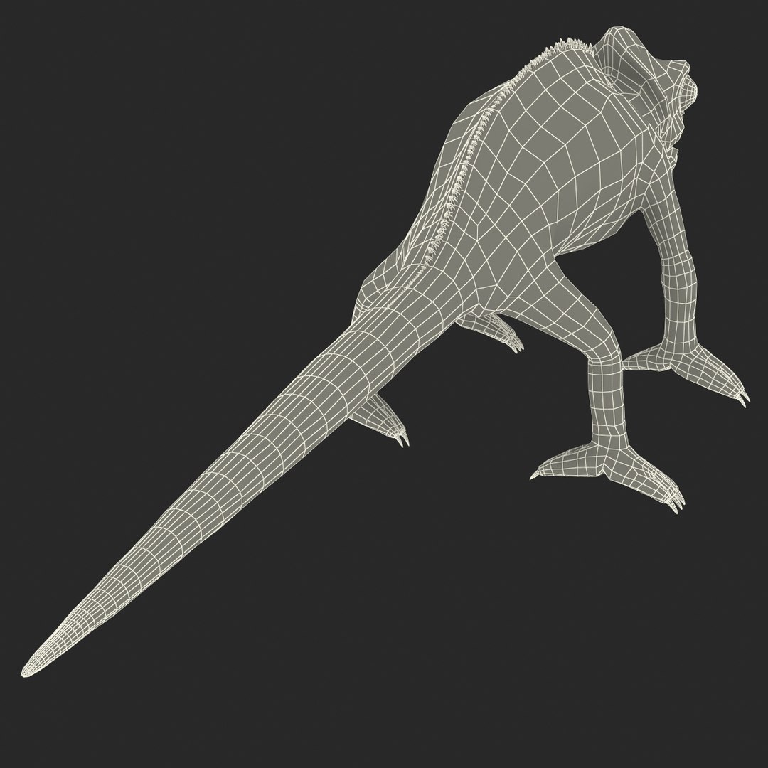 chameleon colors look 3d model https://p.turbosquid.com/ts-thumb/f6/n4qDe7/ECJJAN1u/chameleon3dmodel32/jpg/1458119684/1920x1080/fit_q87/43a102676db94579ad8694775ffa3ce0094e35ec/chameleon3dmodel32.jpg