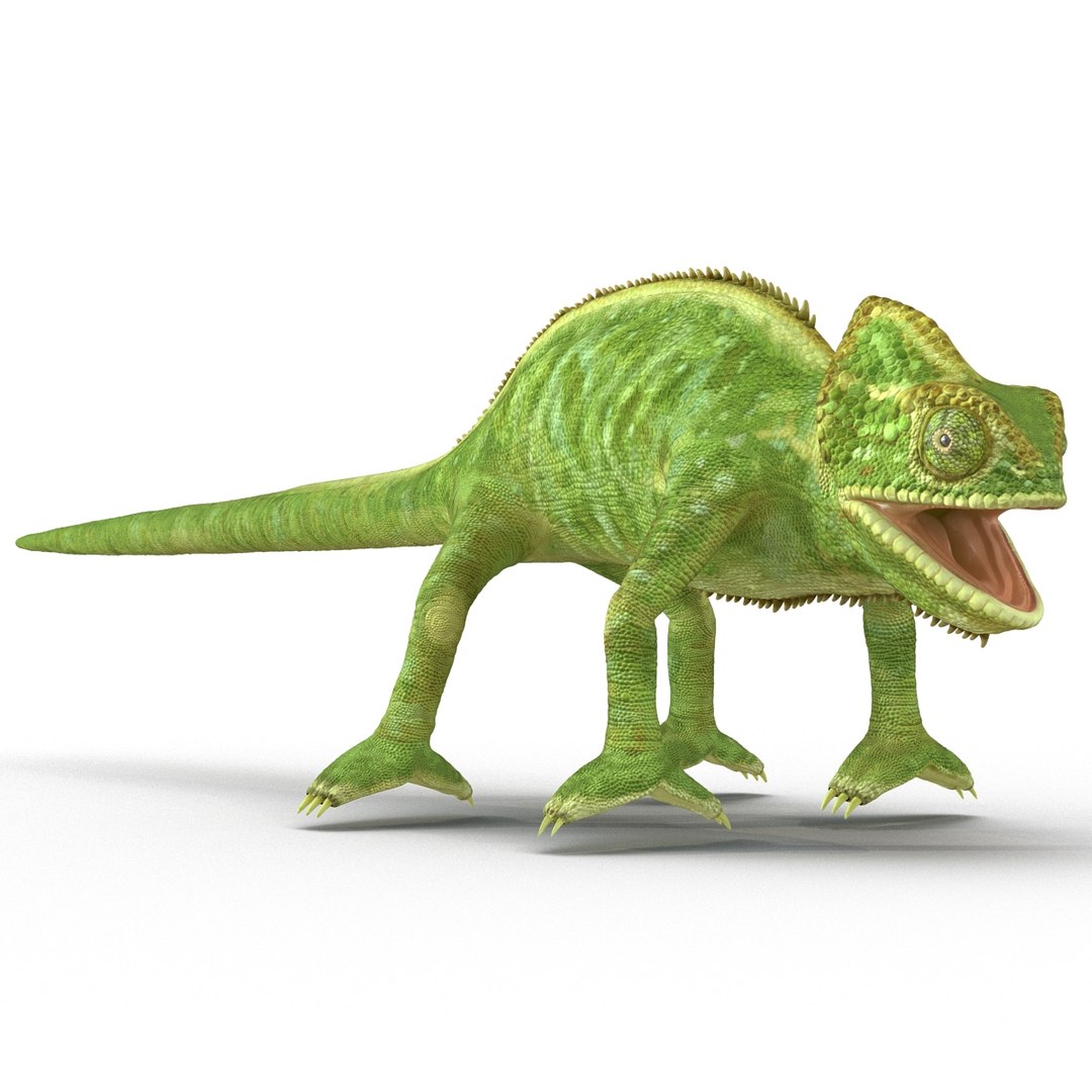 chameleon colors look 3d model https://p.turbosquid.com/ts-thumb/f6/n4qDe7/HNjM38W9/chameleon3dmodel10/jpg/1458119682/1920x1080/fit_q87/bfd07da3a32ca722bbaa15dcc2ce8e5131e9ed32/chameleon3dmodel10.jpg