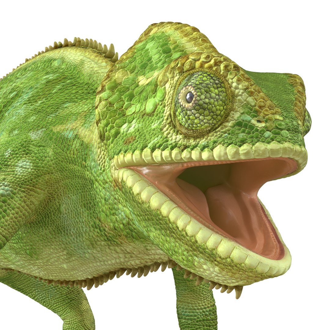 chameleon colors look 3d model https://p.turbosquid.com/ts-thumb/f6/n4qDe7/I07AeCZO/chameleon3dmodel22/jpg/1458119683/1920x1080/fit_q87/6bf4c8dd71c54ff2b4d4fde140fbc0f53c3e52d4/chameleon3dmodel22.jpg