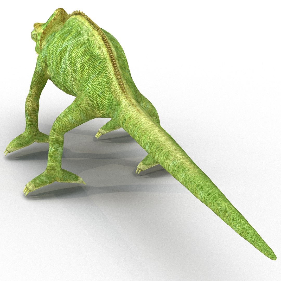 chameleon colors look 3d model https://p.turbosquid.com/ts-thumb/f6/n4qDe7/LNzXgjLN/chameleon3dmodel08/jpg/1458119681/1920x1080/fit_q87/31cc430823919bd2cb3791bb641fe2c62cd708b3/chameleon3dmodel08.jpg