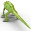 Chameleon