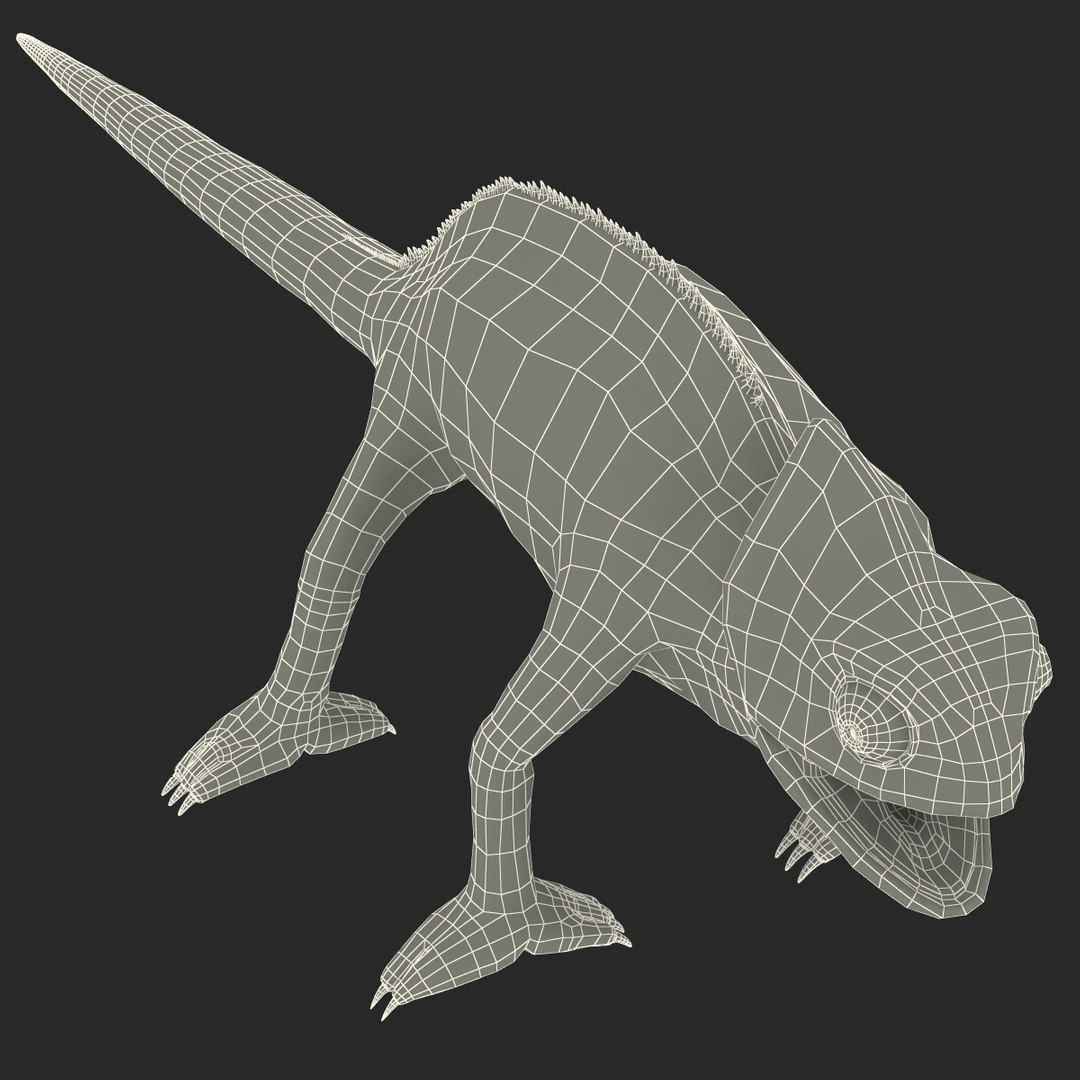 chameleon colors look 3d model https://p.turbosquid.com/ts-thumb/f6/n4qDe7/NVz80QtM/chameleon3dmodel31/jpg/1458119684/1920x1080/fit_q87/cb5e0392b4024601d291f1aaabfb24408fda4407/chameleon3dmodel31.jpg
