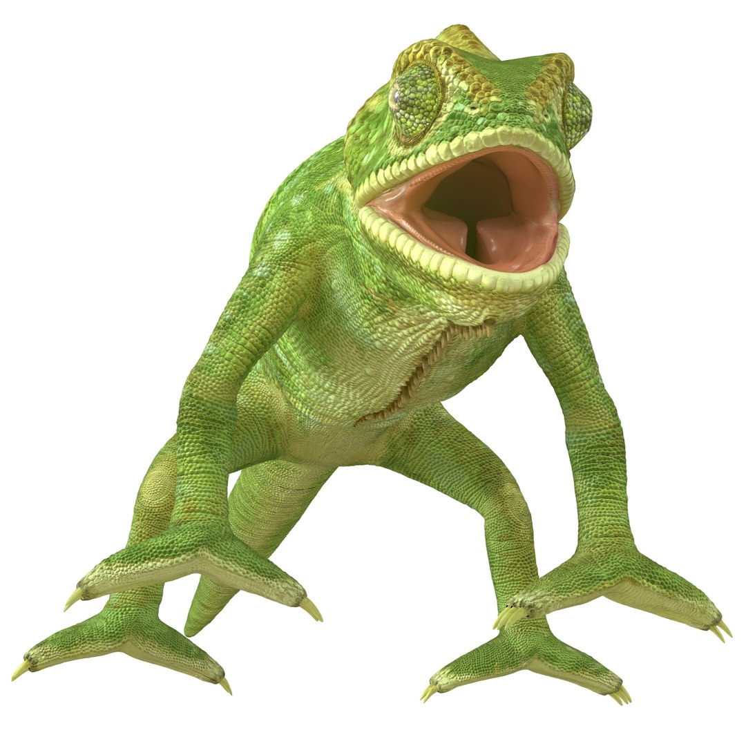 chameleon colors look 3d model https://p.turbosquid.com/ts-thumb/f6/n4qDe7/OE5cUHJo/chameleon3dmodel15/jpg/1458119682/1920x1080/fit_q87/31f0a0df7b9c6c1c5a98d9933ae1ece4ed4695a5/chameleon3dmodel15.jpg