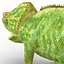 Chameleon