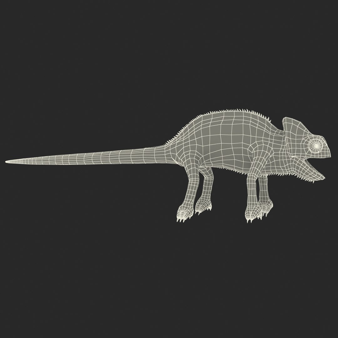 chameleon colors look 3d model https://p.turbosquid.com/ts-thumb/f6/n4qDe7/QP4GFnGf/chameleon3dmodel29/jpg/1458119684/1920x1080/fit_q87/7505d5a753cf4c4e8184327eacd3c56830b2f1e0/chameleon3dmodel29.jpg