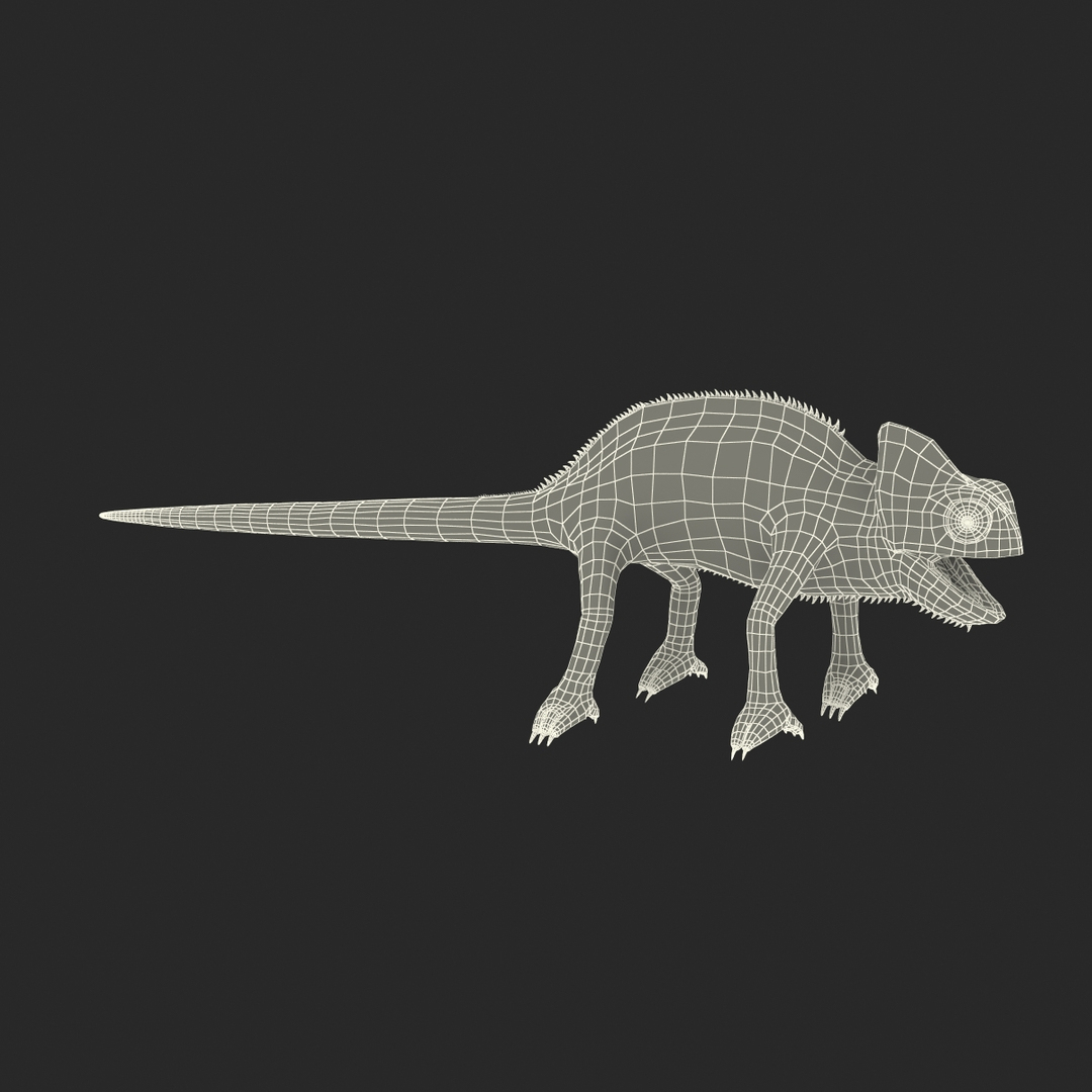 chameleon colors look 3d model https://p.turbosquid.com/ts-thumb/f6/n4qDe7/Qao0pvLD/chameleon_361/jpg/1458118350/1920x1080/turn_fit_q99/ca1c8f90e0d2f29f250921ce82ebaf724ed13f2d/chameleon_361-1.jpg