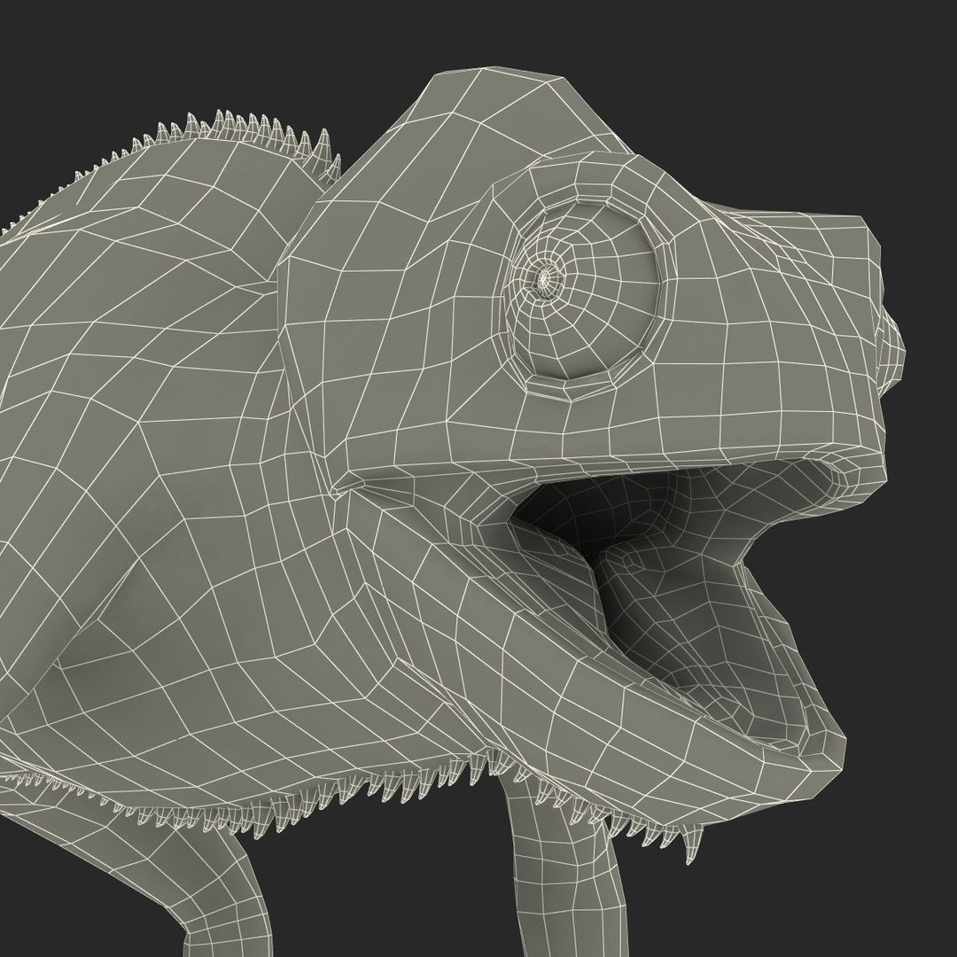 chameleon colors look 3d model https://p.turbosquid.com/ts-thumb/f6/n4qDe7/SOoGTTzO/chameleon3dmodel37/jpg/1458119684/1920x1080/fit_q87/2f810b3a293028063365b3dbb0b67d33e4aa5188/chameleon3dmodel37.jpg