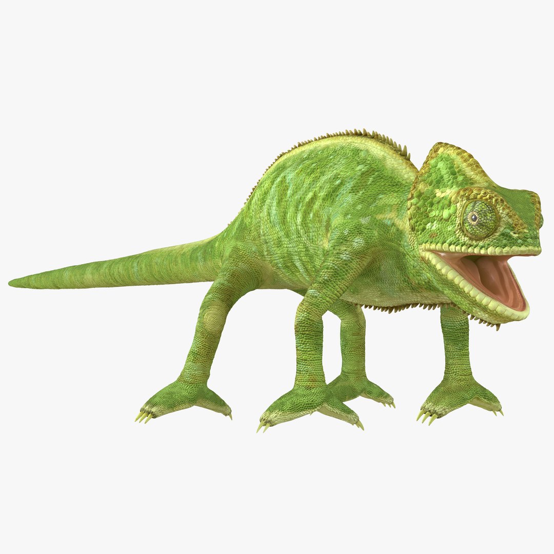 Chameleon 3D model preview