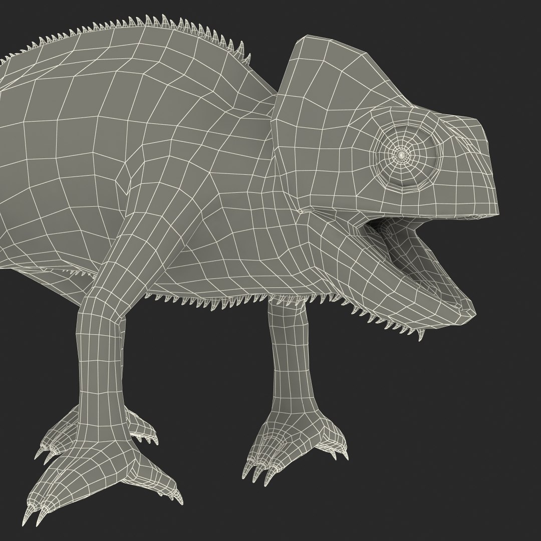 chameleon colors look 3d model https://p.turbosquid.com/ts-thumb/f6/n4qDe7/TZaTGkT0/chameleon3dmodel36/jpg/1458119684/1920x1080/fit_q87/e703d40ab61bb8f5de2fe87385e3d8ac35a32376/chameleon3dmodel36.jpg