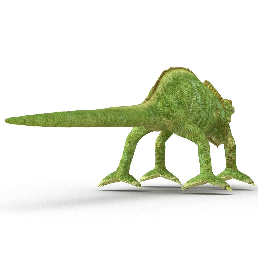 chameleon colors look 3d model https://p.turbosquid.com/ts-thumb/f6/n4qDe7/gs8mZ8Oh/chameleon3dmodel11/jpg/1458119682/1920x1080/fit_q87/bc3898d641fcd568278549ea4502e7e7f2f51dee/chameleon3dmodel11.jpg