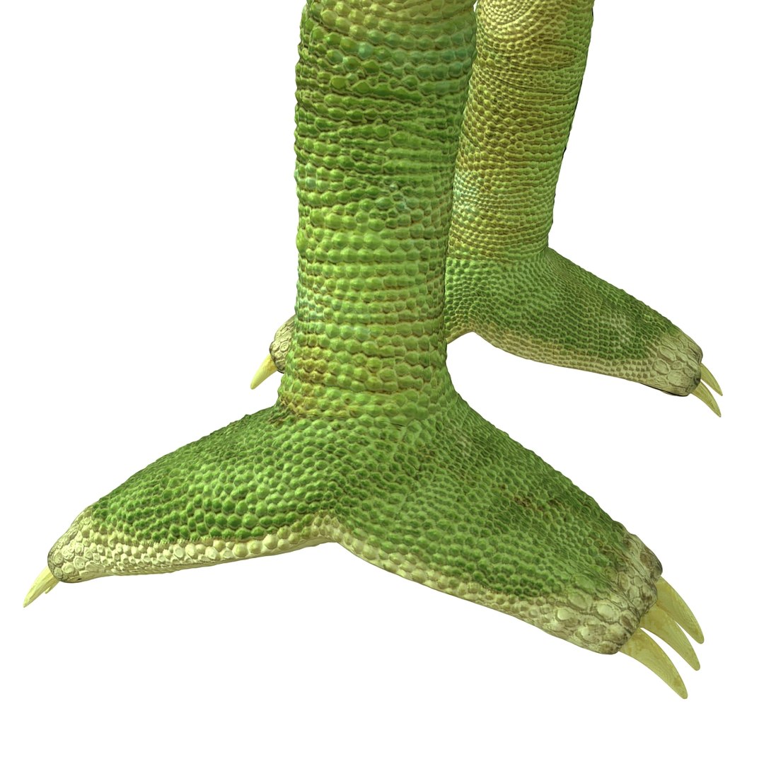 chameleon colors look 3d model https://p.turbosquid.com/ts-thumb/f6/n4qDe7/iLh0x2JM/chameleon3dmodel23/jpg/1458119683/1920x1080/fit_q87/935296ba6252f1fd2bce7ac0da1bfa6f6d64b4b8/chameleon3dmodel23.jpg
