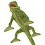 Chameleon