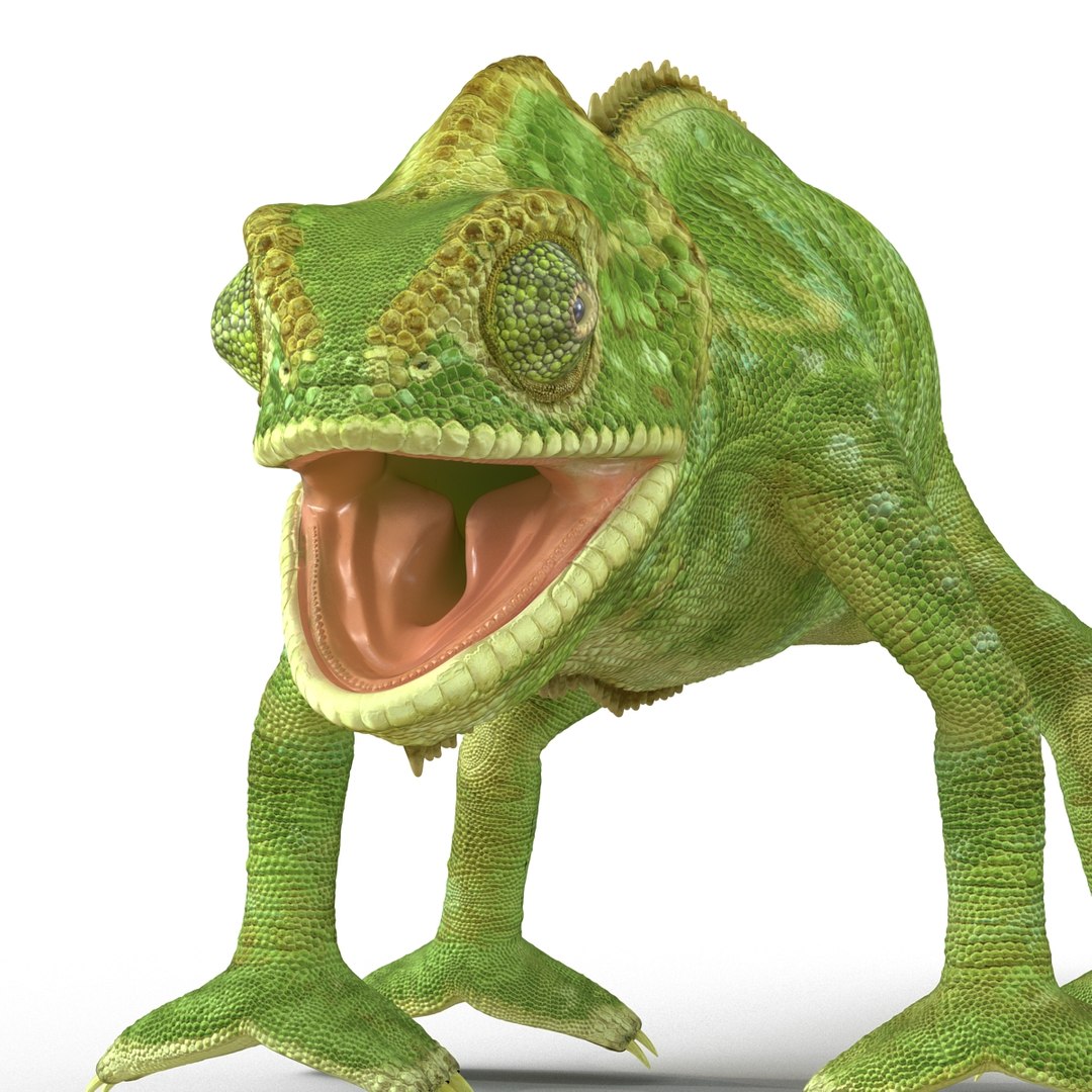 chameleon colors look 3d model https://p.turbosquid.com/ts-thumb/f6/n4qDe7/oMRUycIM/chameleon3dmodel18/jpg/1458119682/1920x1080/fit_q87/f7176dad8b4e76f44cb40a7c3a3298c490221b59/chameleon3dmodel18.jpg