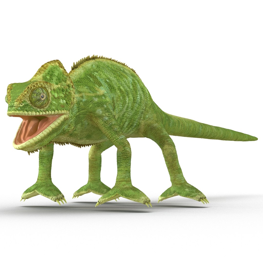 chameleon colors look 3d model https://p.turbosquid.com/ts-thumb/f6/n4qDe7/q9xz0C3K/chameleon3dmodel09/jpg/1458119681/1920x1080/fit_q87/bcc84ba2f7710647708a15f0d4eaab0cc2917c9f/chameleon3dmodel09.jpg