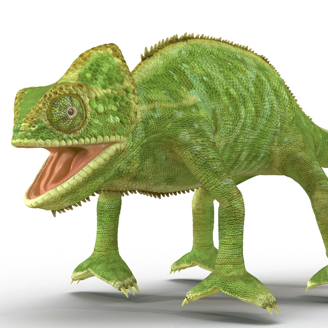 chameleon colors look 3d model https://p.turbosquid.com/ts-thumb/f6/n4qDe7/qEjVfkn1/chameleon3dmodel16/jpg/1458119682/1920x1080/fit_q87/ae9d6b26e91350d2b6652f886cd79168b0b7a36d/chameleon3dmodel16.jpg