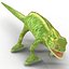 Chameleon