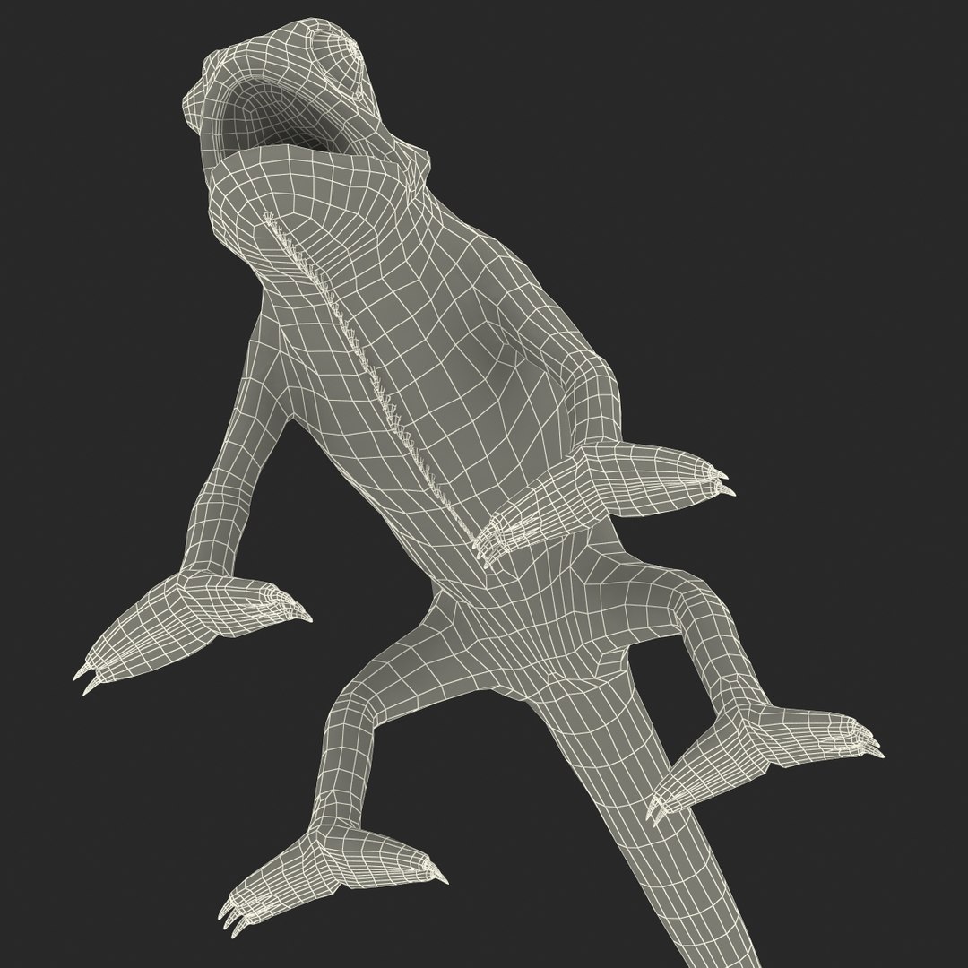 chameleon colors look 3d model https://p.turbosquid.com/ts-thumb/f6/n4qDe7/r06VWduJ/chameleon3dmodel39/jpg/1458119685/1920x1080/fit_q87/d3391e92c07c45469887c9fec6b6aaf7b6049d97/chameleon3dmodel39.jpg