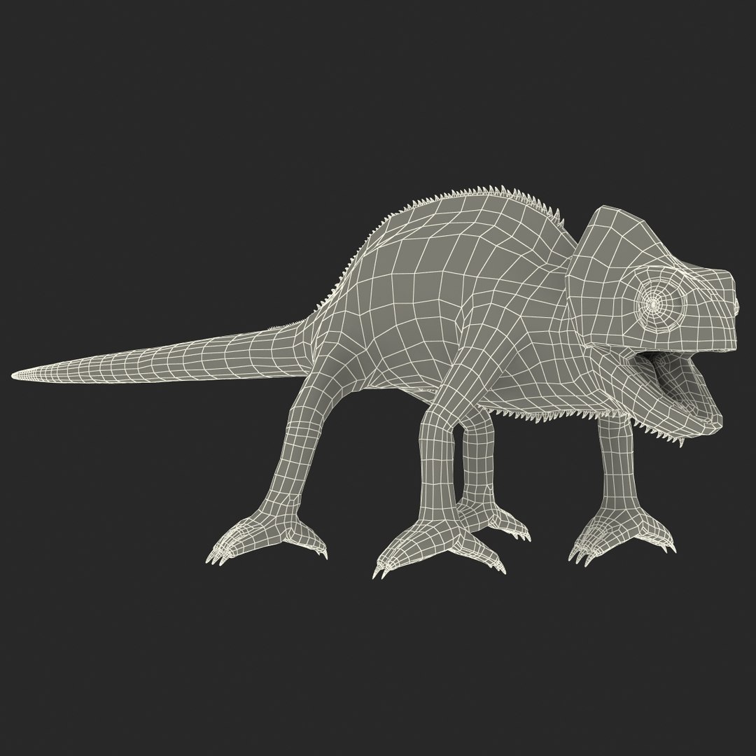 chameleon colors look 3d model https://p.turbosquid.com/ts-thumb/f6/n4qDe7/seI0qIJK/chameleon3dmodel33/jpg/1458119684/1920x1080/fit_q87/9256546acb20bbb7445b56eff841bf6d84906093/chameleon3dmodel33.jpg