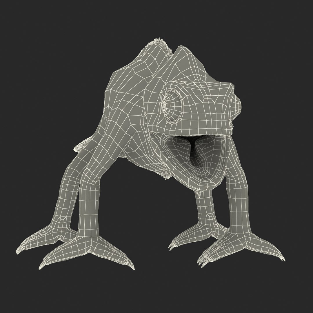 chameleon colors look 3d model https://p.turbosquid.com/ts-thumb/f6/n4qDe7/urOcSQgt/chameleon3dmodel30/jpg/1458119684/1920x1080/fit_q87/bca53c2e4bb4b0dc1c69f369e0a5416f6935b060/chameleon3dmodel30.jpg
