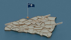 south flag 3D model