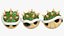 3D Mario Bros Koopa Shells Collection