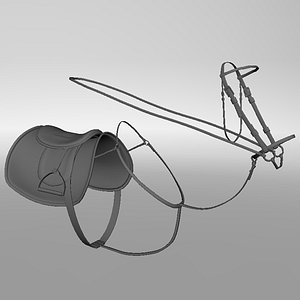 Horse Saddle and Reins