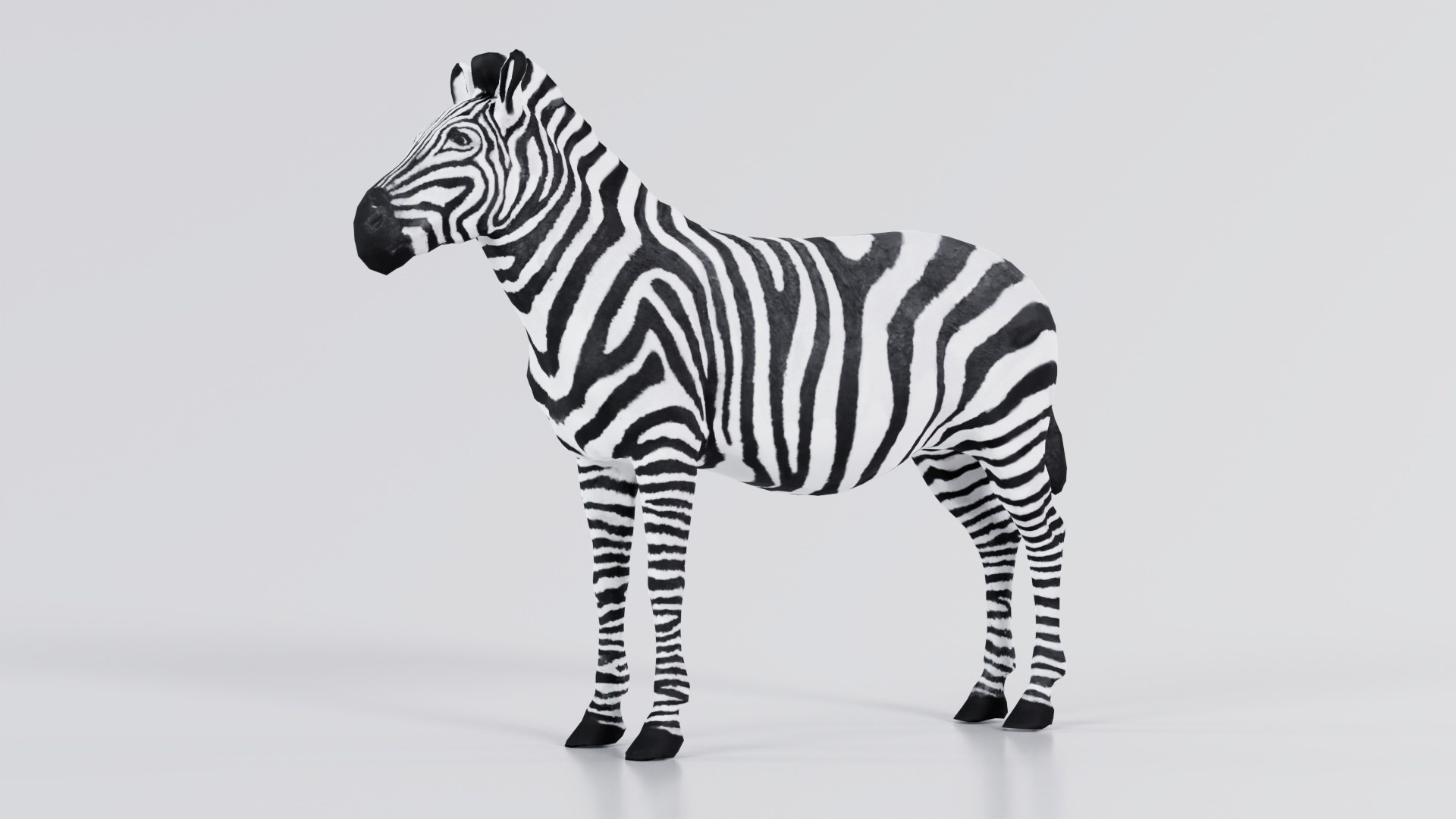 3D Zebra Remastered Model - TurboSquid 2359819