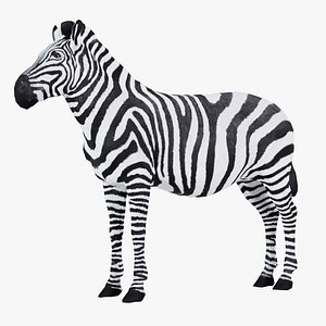 3D Zebra Remastered model