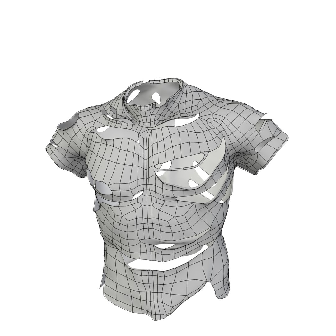 Ripped Shirt Shorts 3d Max