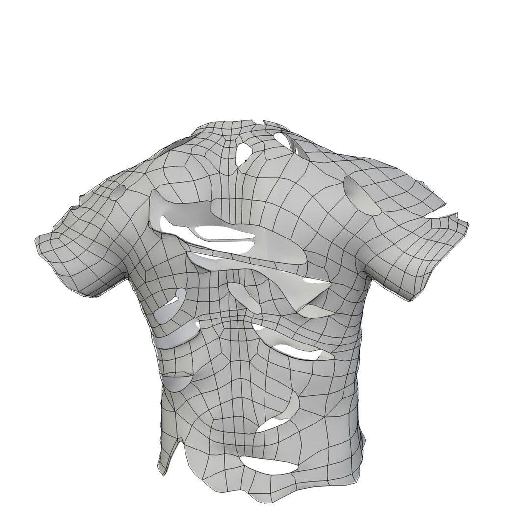 Ripped Shirt Shorts 3d Max