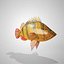 Tiger  Fish