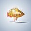 Tiger  Fish