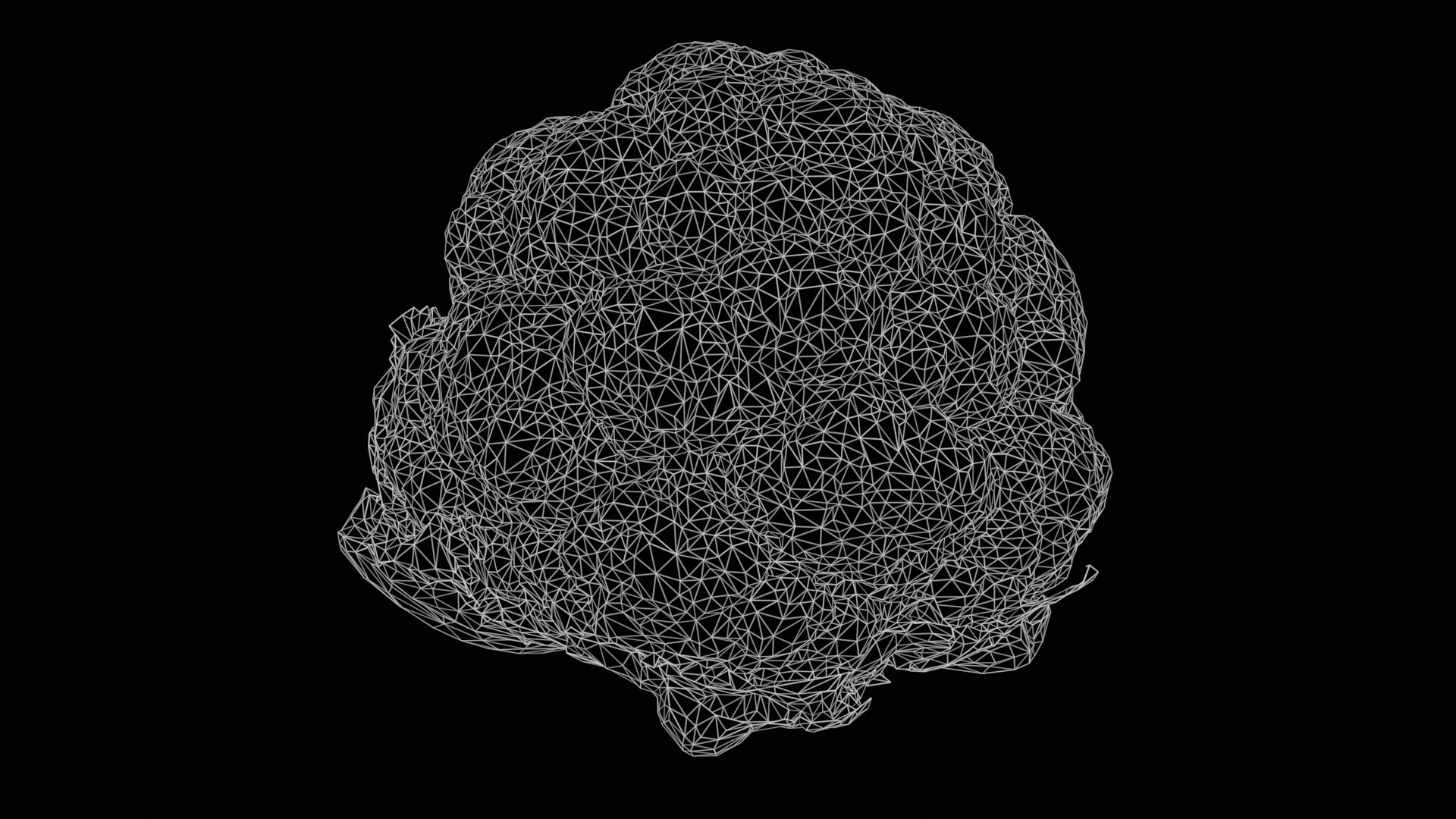 Cauliflower Remastered 3D model https://p.turbosquid.com/ts-thumb/f7/XGjlw4/IK/cauliflower_11/jpg/1740360573/1920x1080/fit_q87/8fe68c77597141b8096bdbd7fbf9c637a5044fad/cauliflower_11.jpg
