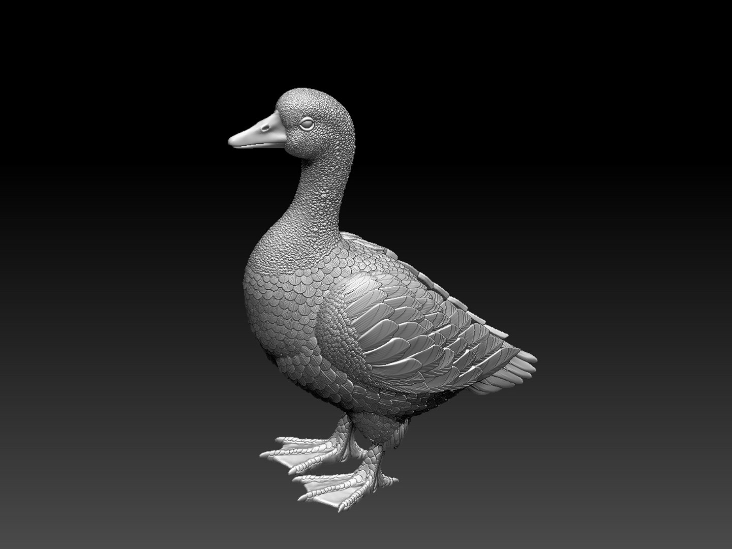 Duck Goose Bird Model - TurboSquid 1647473