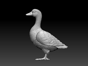 duck goose bird model