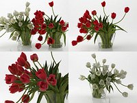 Tulips 01