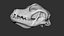 Dog Skull