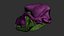 Dog Skull