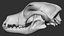 Dog Skull