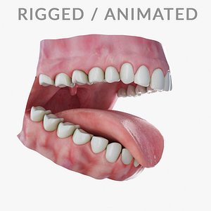 Human Teeth