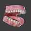 3d human teeth head