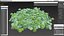 Pile of Split Pea